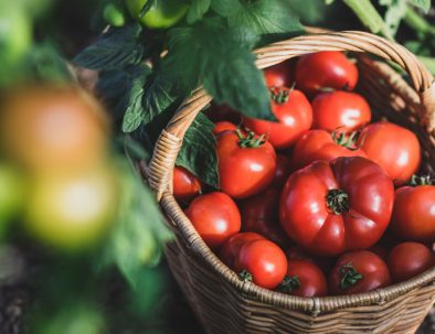 vegetables from a garden in a basket