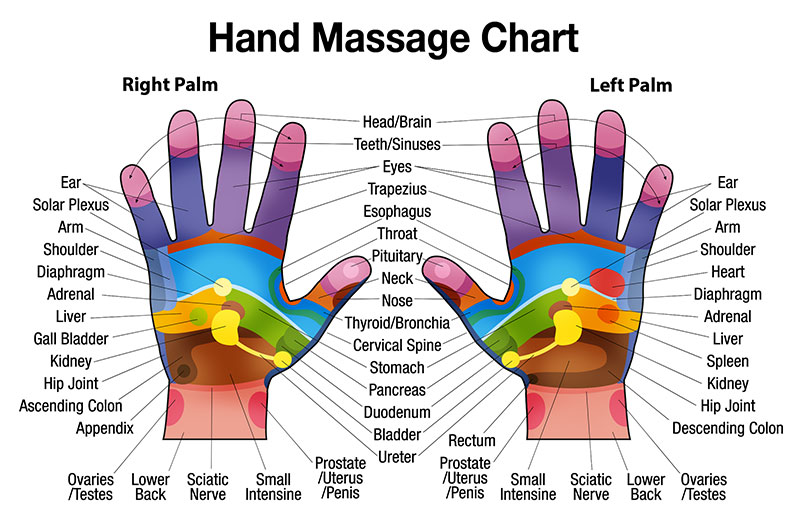 sujok hands diagram