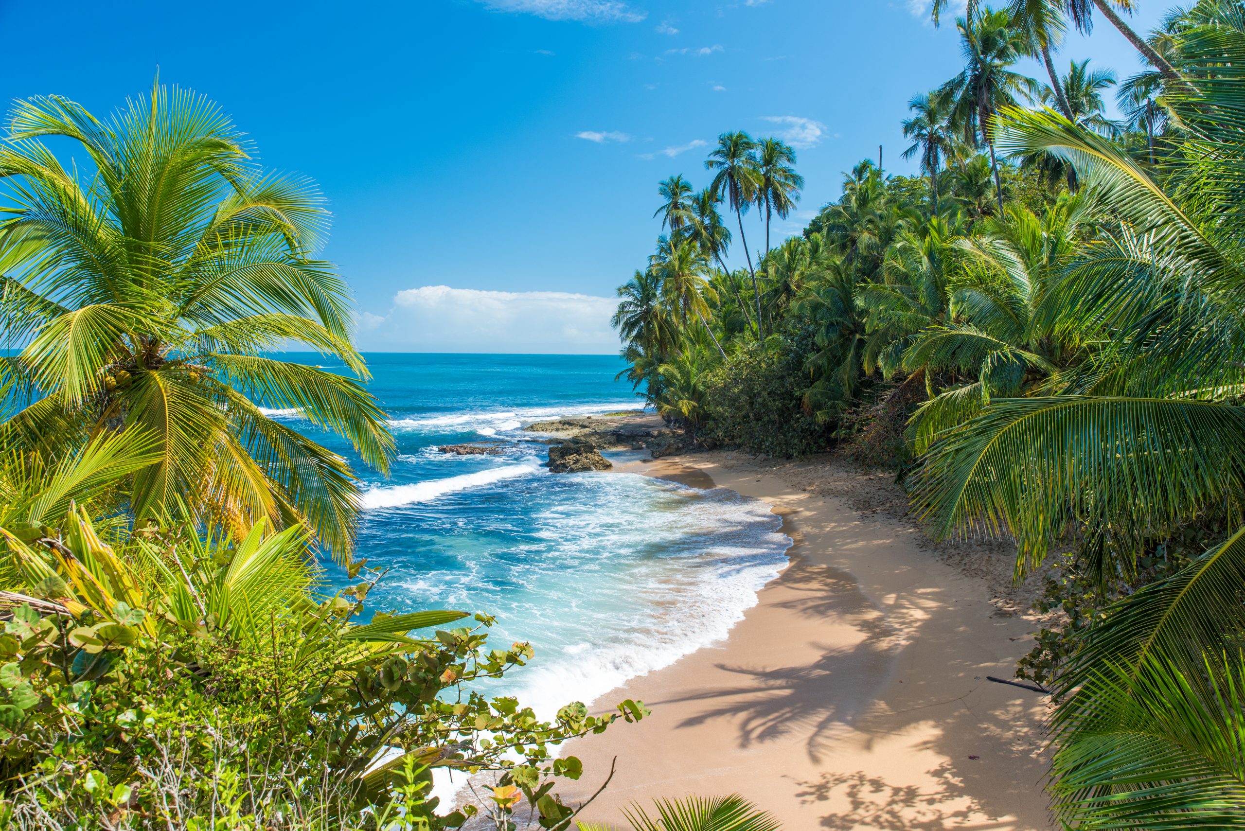 60 Costa Rica Facts That Will Make You Book Your Next Getaway Omnifique